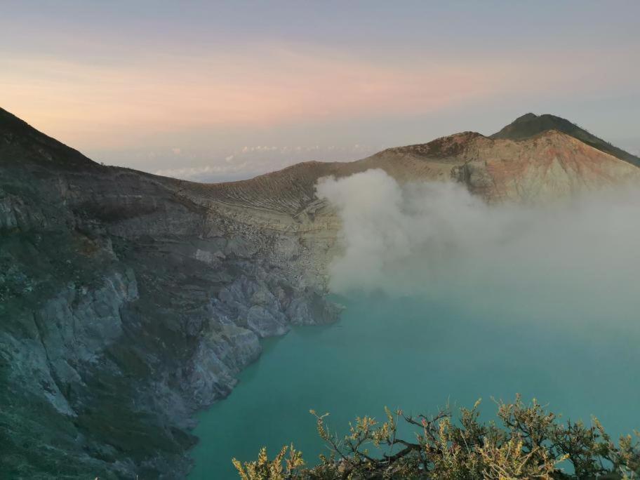 Juda Homestay Banyuwangi  Exteriör bild
