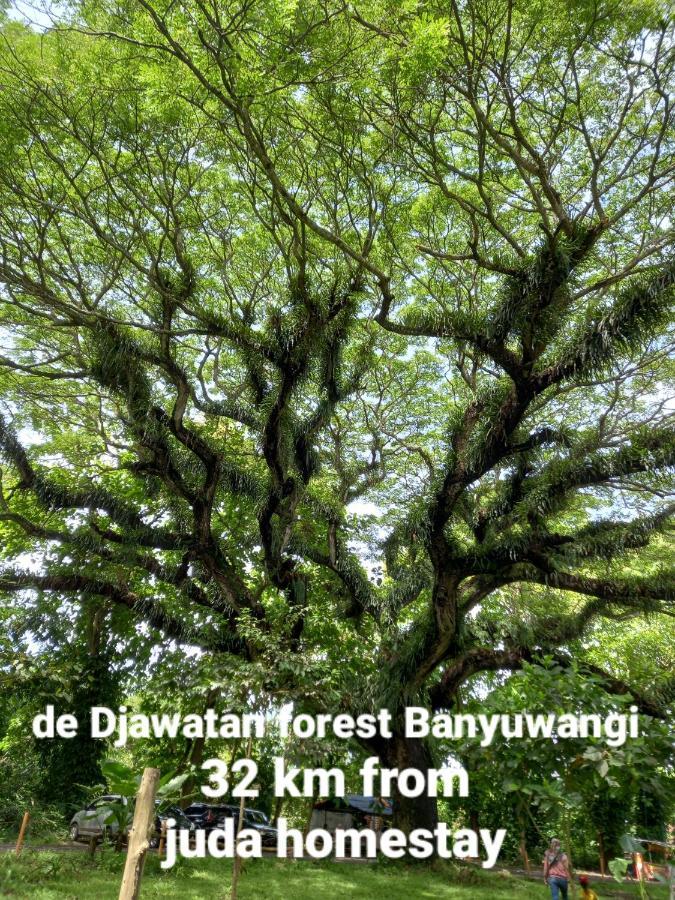 Juda Homestay Banyuwangi  Exteriör bild