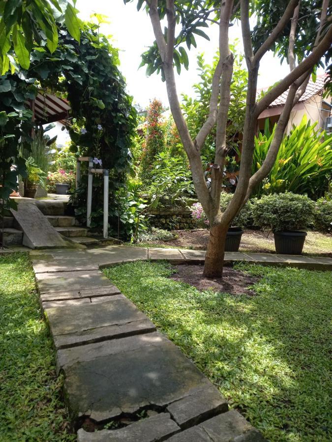 Juda Homestay Banyuwangi  Exteriör bild