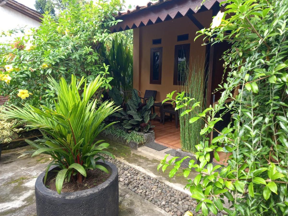 Juda Homestay Banyuwangi  Exteriör bild