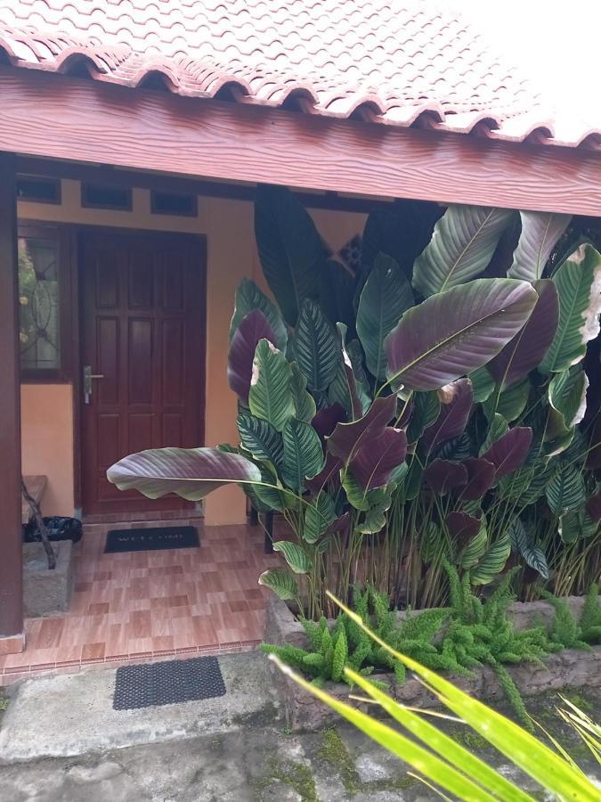 Juda Homestay Banyuwangi  Exteriör bild